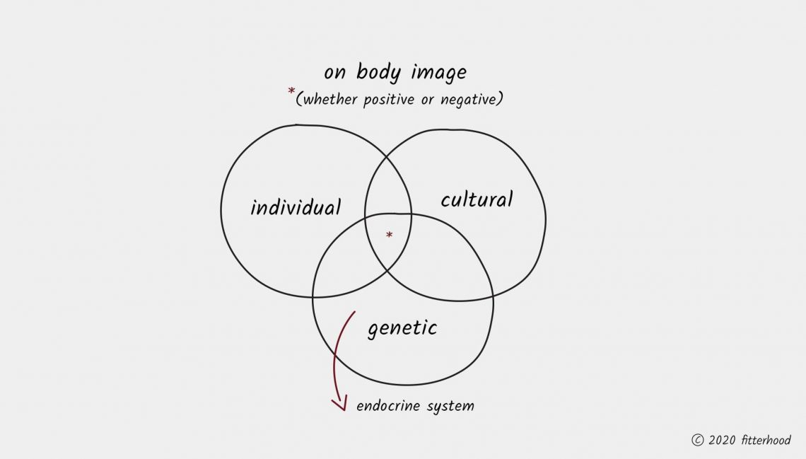 fitterhood body image is both individual and cultural. not to underestimate the role of genetics and a healthy functioning endocrine system