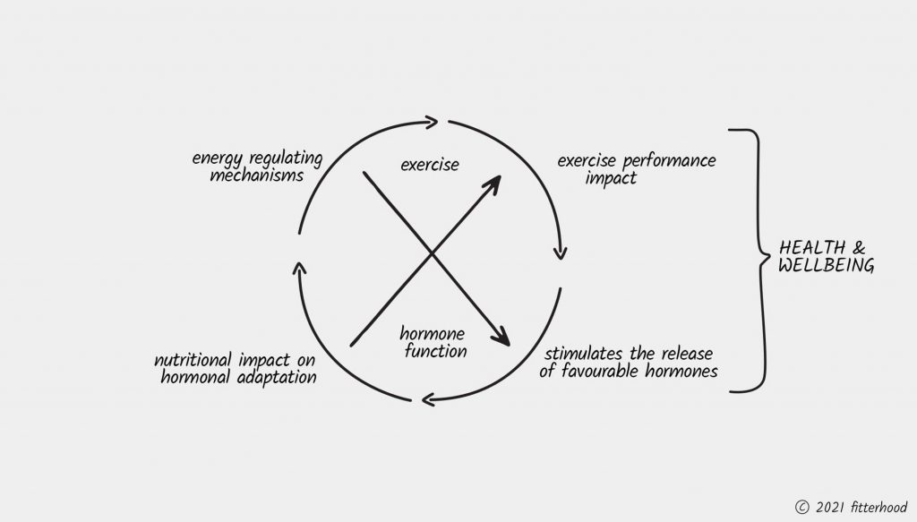 fitterhood hormones and exercise effect