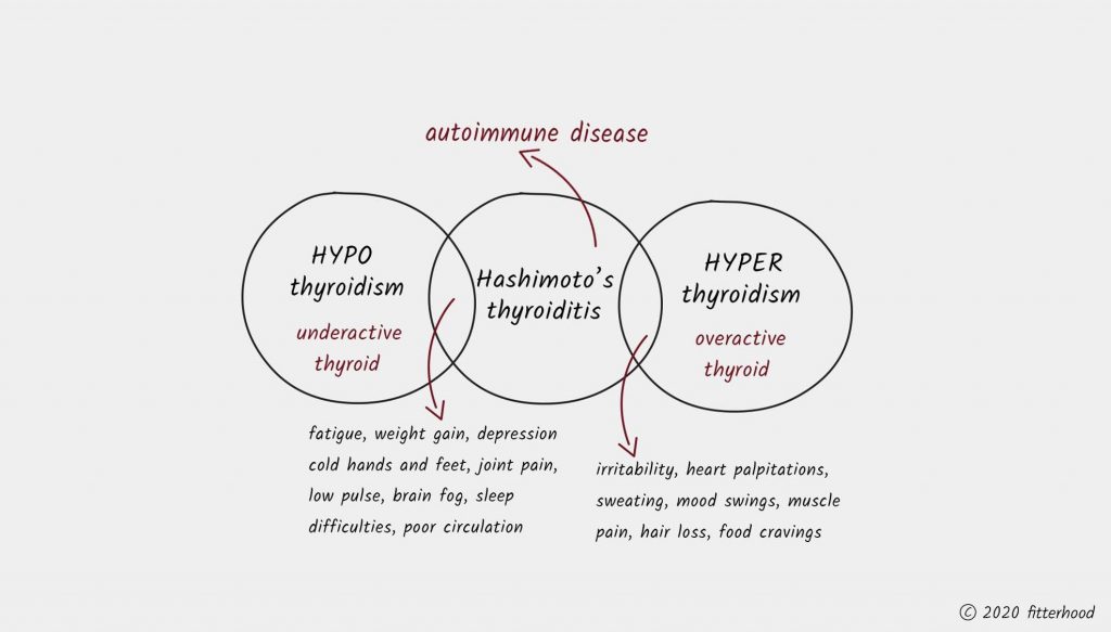 fitterhood on Hashimot's Thyroiditis