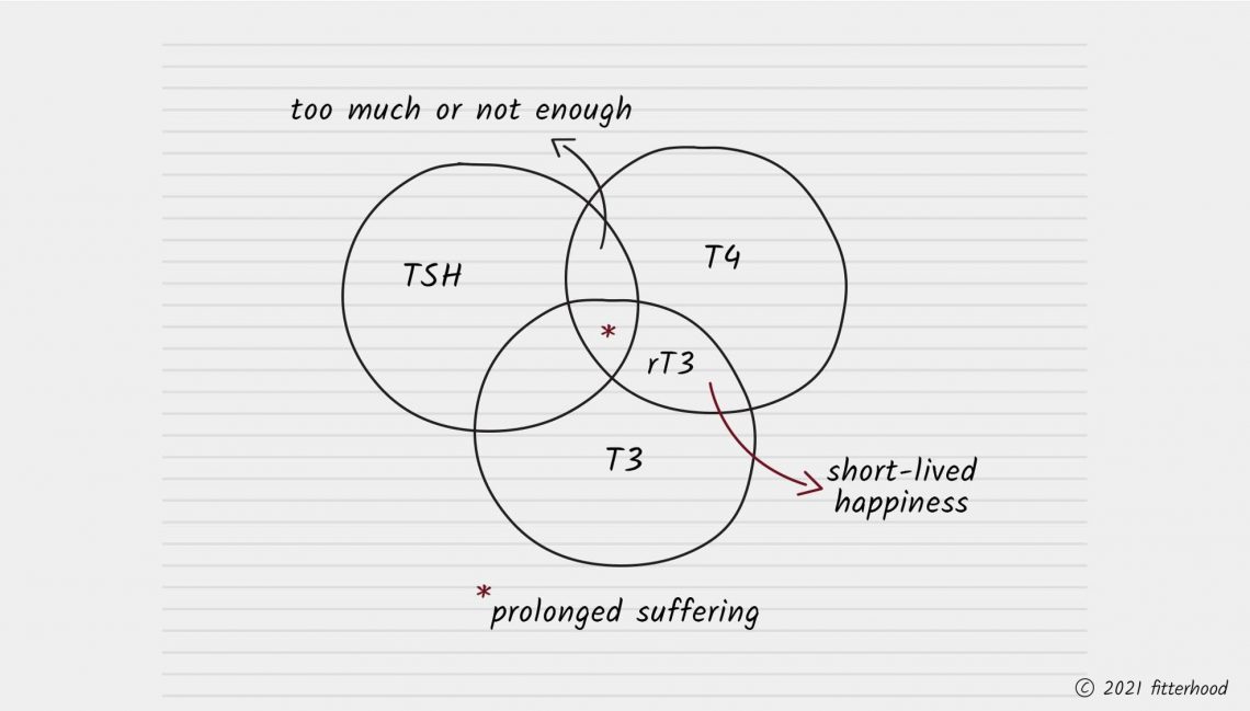 fitterhood on the full thryroid process