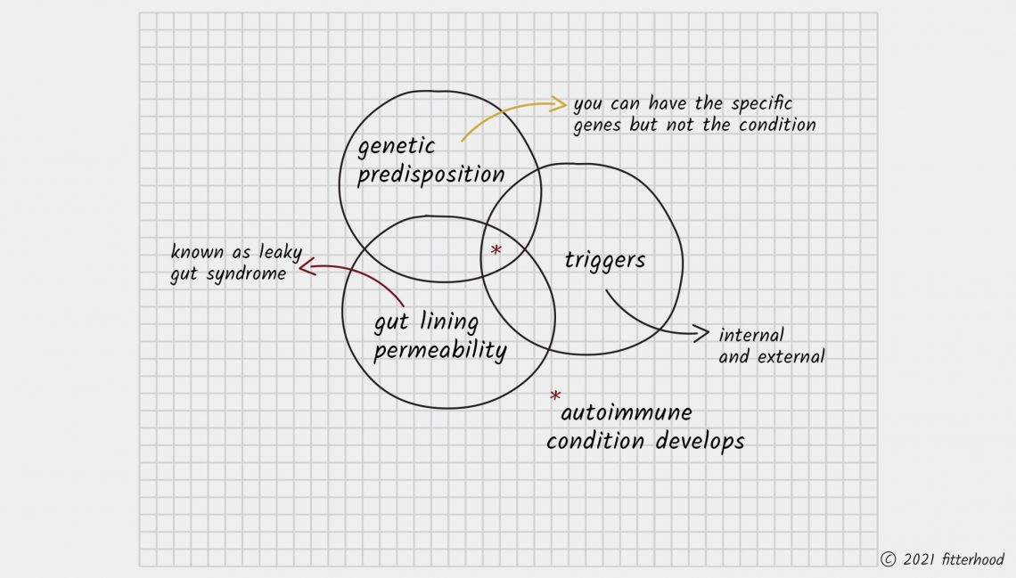 fitterhood conditions for autoimmune as triggers and leaky gut