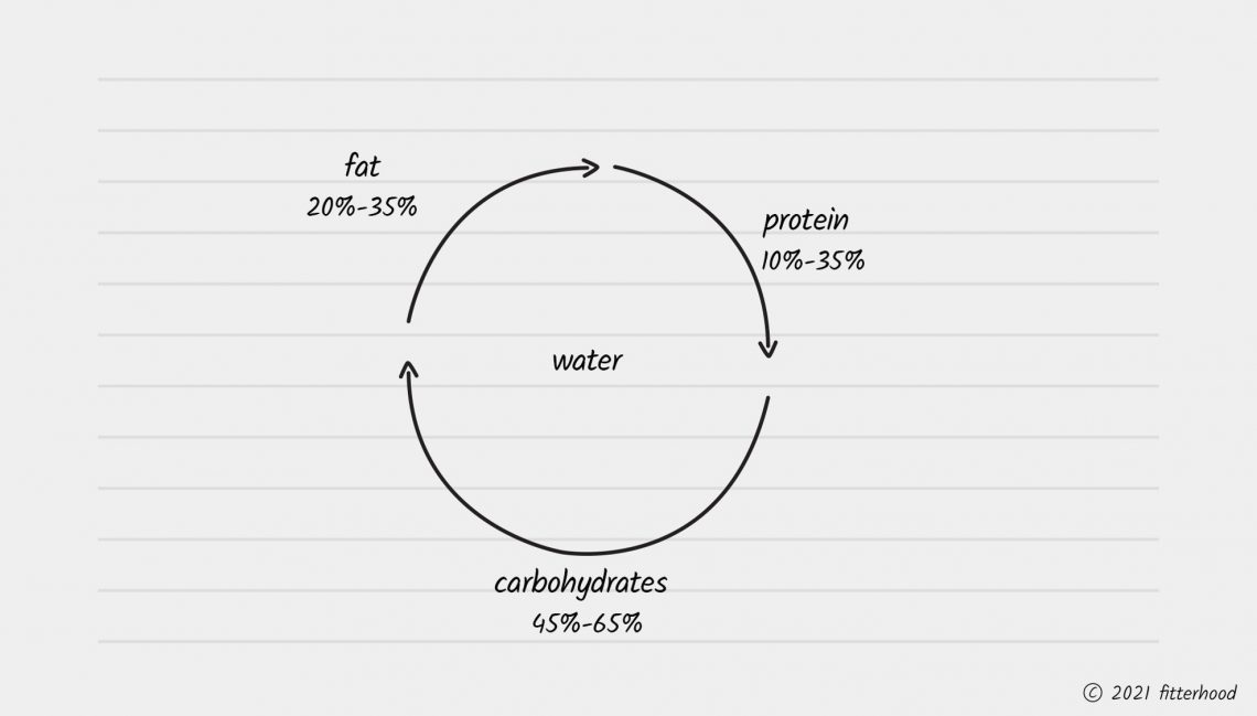 fitterhood on the main macronutrients - fat protein and carbs