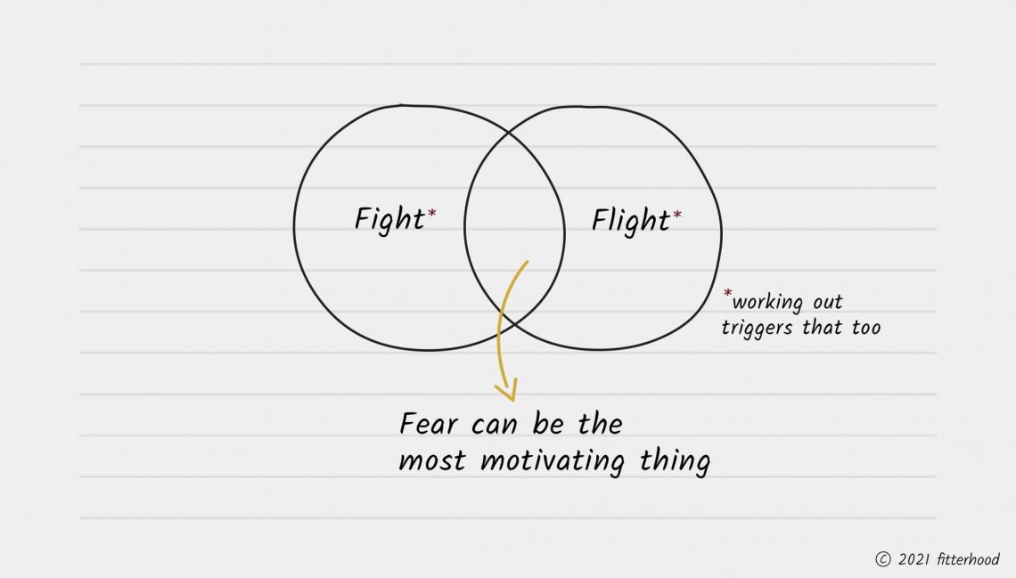 fitterhood what is stress? Fight or Flight?